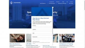 diamondsystems.co.uk SHOT 2026-01-04 12:38:00