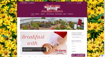 bypassnurseries.co.uk SHOT 2019-12-09 16:03:40
