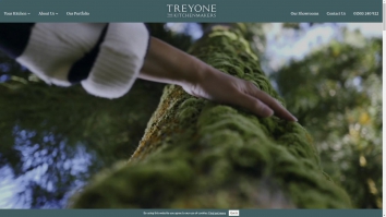 treyone.co.uk SHOT 2025-06-11 23:22:26