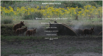 knepp.co.uk SHOT 2022-09-10 22:33:26