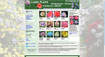 loder-plants.co.uk SHOT 2019-02-27 22:05:18
