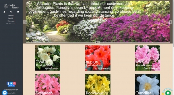 loder-plants.co.uk SHOT 2020-05-01 23:14:54