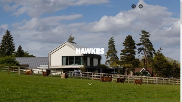 hawkesarchitecture.co.uk SHOT 2026-01-13 18:12:32