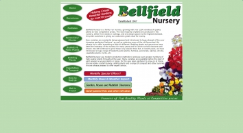 bellfieldnursery.co.uk SHOT 2019-02-09 12:48:54
