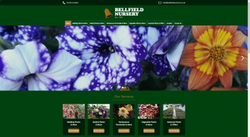 bellfieldnursery.co.uk SHOT 2021-11-12 21:45:10