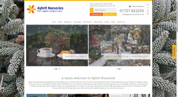 aylettnurseries.co.uk SHOT 2019-11-13 08:41:41