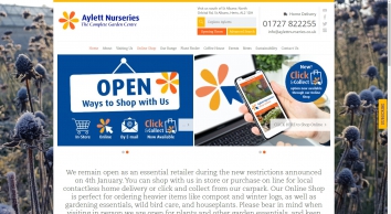 aylettnurseries.co.uk SHOT 2021-02-21 15:49:17