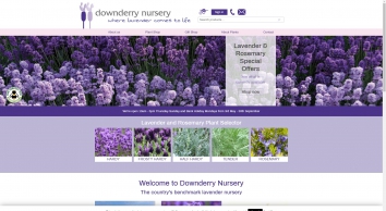 downderry-nursery.co.uk SHOT 2019-01-02 04:02:41