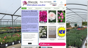 allwoods.net SHOT 2018-12-22 07:52:19