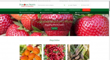  SHOT 2021-07-01 02:24:51