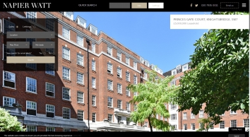 napierwatt.co.uk SHOT 2019-01-18 11:25:23