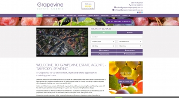 grapevineproperty.co.uk SHOT 2018-06-17 02:42:18