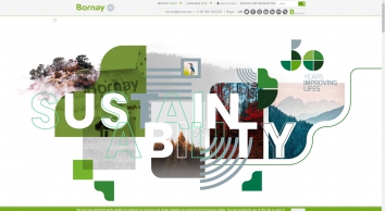 bornay.com SHOT 2020-07-02 13:28:12