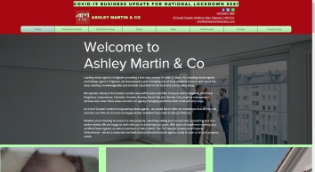 ashleymartinandco.com SHOT 2021-01-25 16:06:52