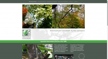 rgs-treeservices.co.uk SHOT 2020-11-21 21:49:06