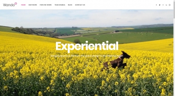 wanda.uk.com SHOT 2019-08-21 21:50:27