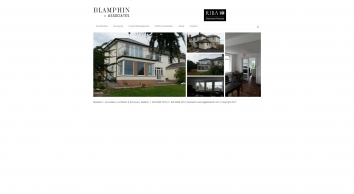 blamphin.com SHOT 2019-01-31 21:19:31