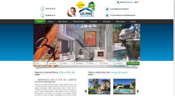 lespinsimmobilier.fr SHOT 2019-02-13 04:55:52