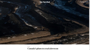 thenarwhal.ca SHOT 2024-01-16 01:20:59
