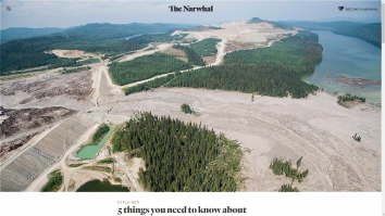 thenarwhal.ca SHOT 2024-08-17 12:36:58