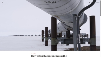 thenarwhal.ca SHOT 2026-04-29 06:41:39