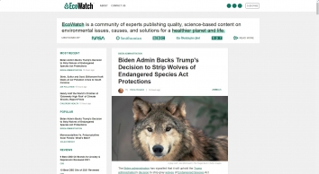 ecowatch.com SHOT 2021-08-24 11:42:47