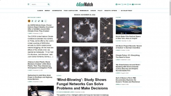 ecowatch.com SHOT 2025-01-02 14:46:22