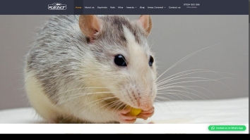 kent-pest-control.co.uk SHOT 2026-01-24 19:35:05