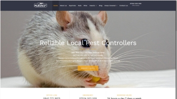 kent-pest-control.co.uk SHOT 2026-04-13 03:47:50