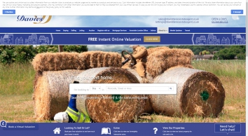 daviddaviesestateagent.co.uk SHOT 2021-01-03 17:36:37