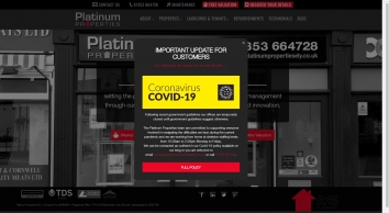 platinumpropertiesely.co.uk SHOT 2020-04-10 23:32:48