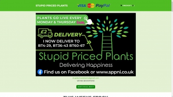 sppni.co.uk SHOT 2025-06-19 23:41:08