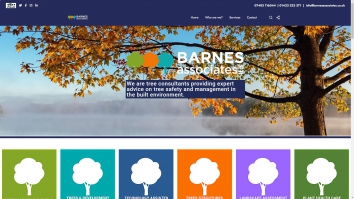 barnesassociates.co.uk SHOT 2025-06-20 01:56:31