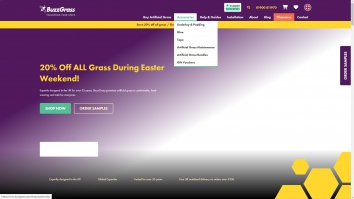 buzzgrass.com SHOT 2025-06-21 12:19:11