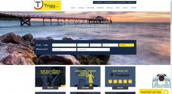 isleofwightestateagents.co.uk SHOT 2020-12-01 22:51:31