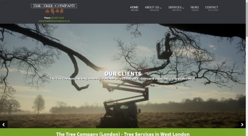 thetreecompany.co.uk SHOT 2021-06-16 17:50:05