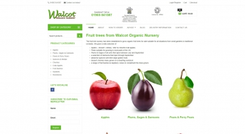 walcotnursery.co.uk SHOT 2018-07-03 01:36:00