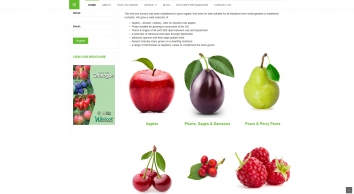 walcotnursery.co.uk SHOT 2018-08-14 08:56:07