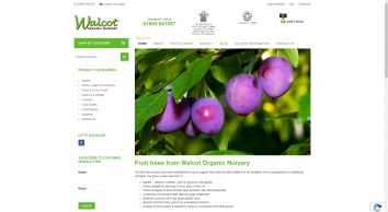 walcotnursery.co.uk SHOT 2020-08-11 12:31:14