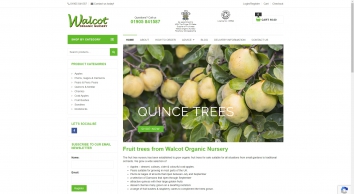 walcotnursery.co.uk SHOT 2020-09-11 18:46:17