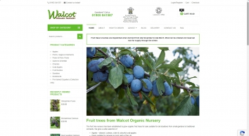 walcotnursery.co.uk SHOT 2021-10-05 12:07:56