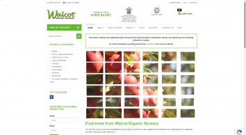 walcotnursery.co.uk SHOT 2021-12-14 03:00:47