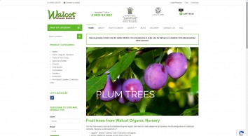 walcotnursery.co.uk SHOT 2022-08-18 21:51:47