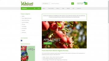 walcotnursery.co.uk SHOT 2025-10-31 14:17:04