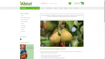 walcotnursery.co.uk SHOT 2025-12-29 21:00:26