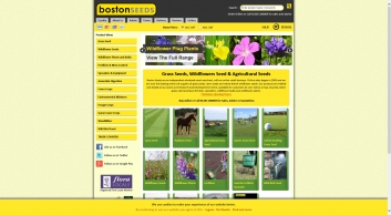 bostonseeds.com SHOT 2017-12-30 01:12:59