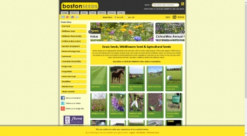 bostonseeds.com SHOT 2018-03-23 07:13:29